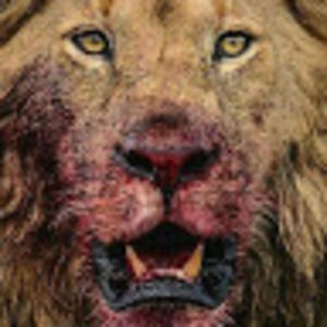 Meet your Posher, Fernando